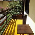 Fattoria Del Pino 3*