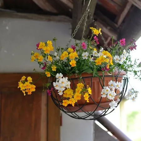 Bed & Breakfast Fattoria Del Pino *
