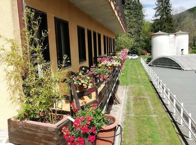 Fattoria Del Pino 3*