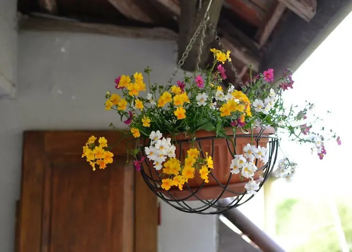 Bed & Breakfast Fattoria Del Pino 3*
